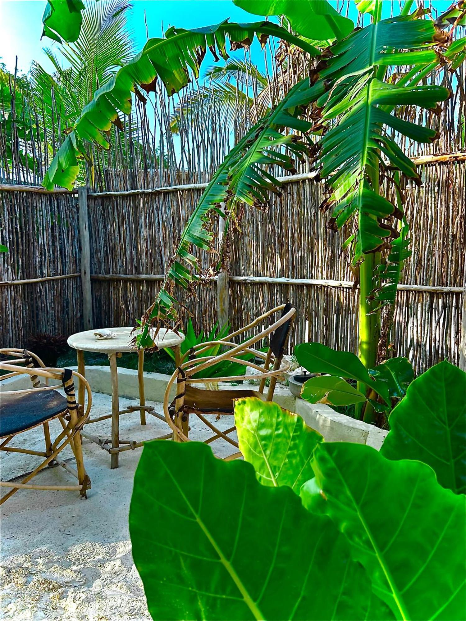 Zanzi Soul Luxury Boutique Hotel 江比阿 外观 照片